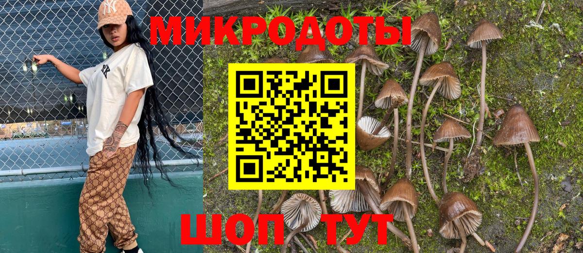 Псилоцибиновые грибы GOLDEN TEACHER  Галлюциногенные грибы мицелий  закладки  Вход с VPN  Семёнов 