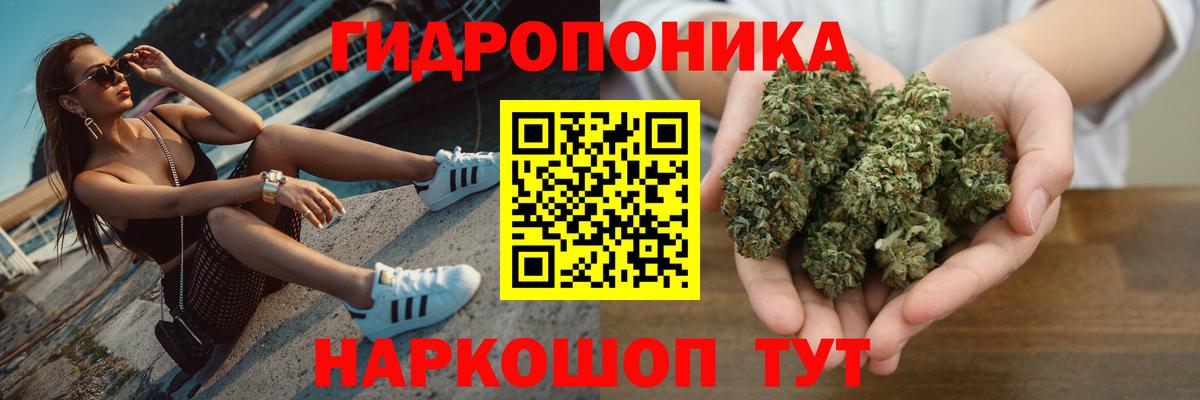 Семёнов  Канабис план  Канабис семена  Марихуана гибрид  Вход с VPN 